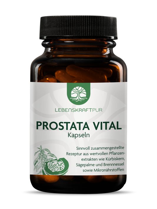 Produktbild Prostata Vital Kapseln