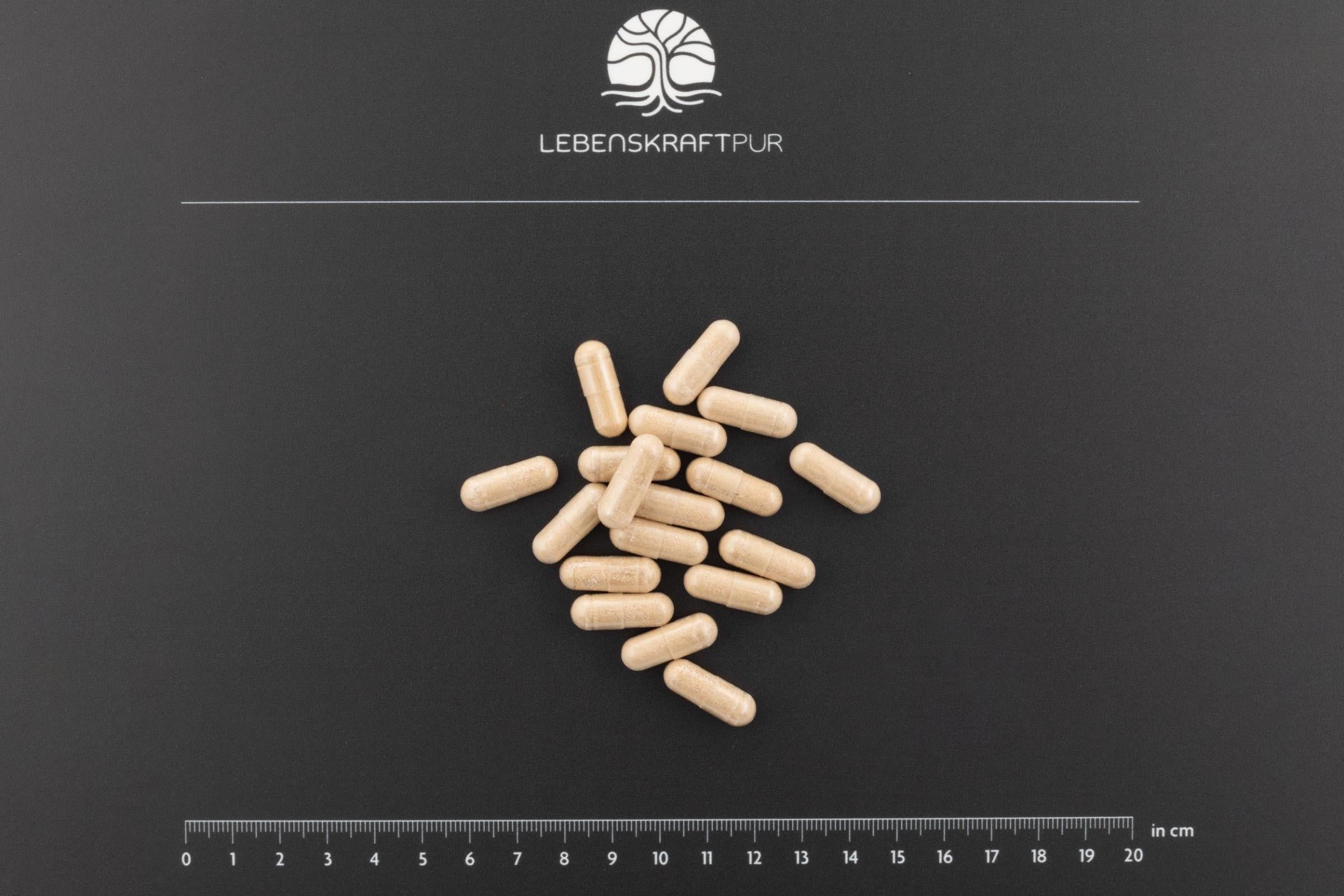 Produktbild Prostata Vital Kapseln