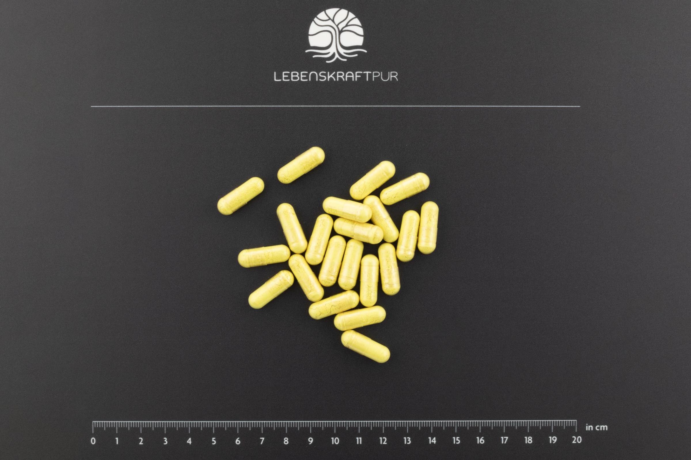Produktbild Quercetin Plus Kapseln