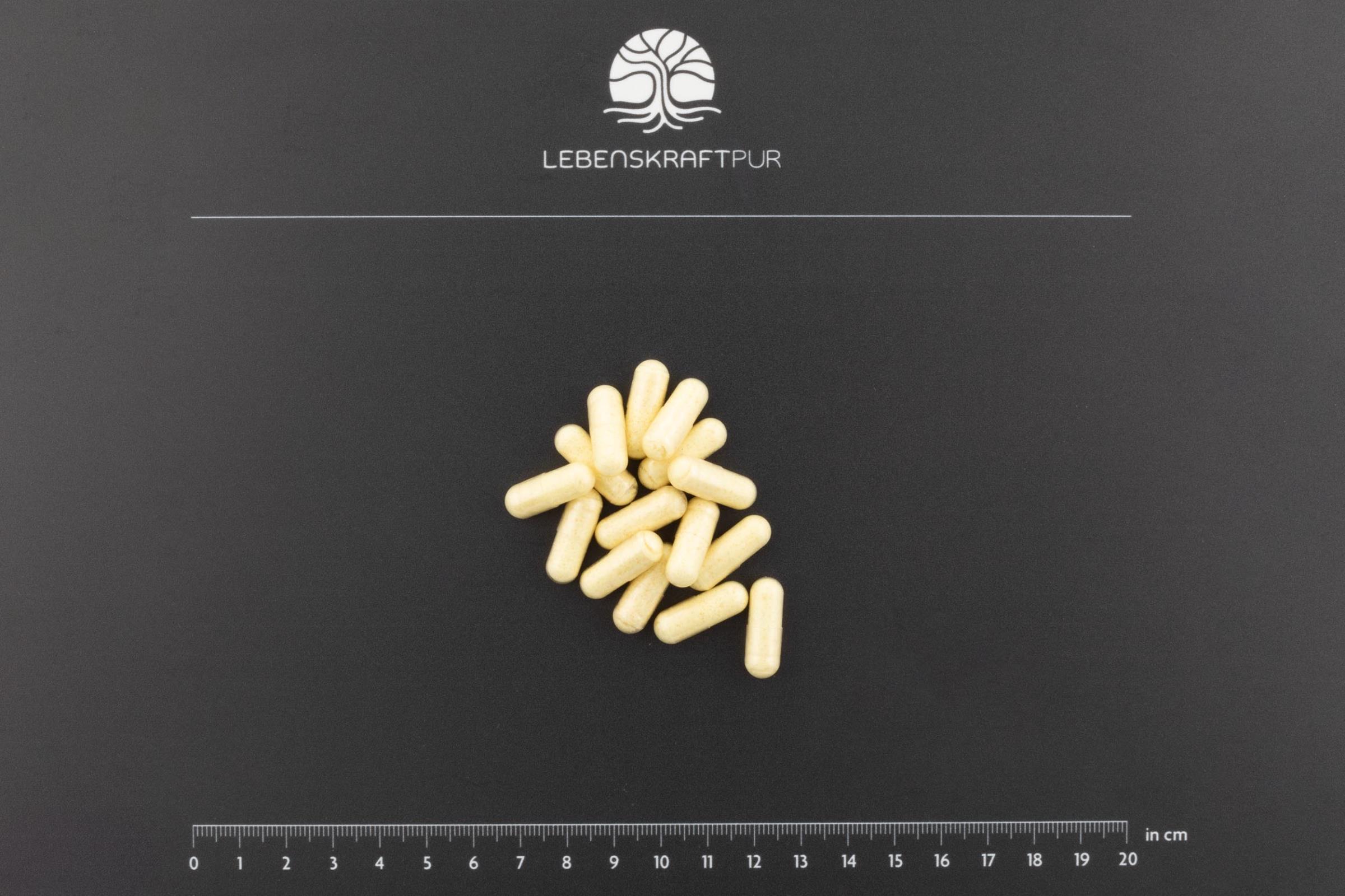 Produktbild R-Alpha-Liponsäure Plus Kapseln