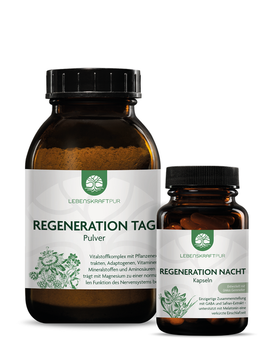 Produktbild Regeneration Tag & Nacht Box