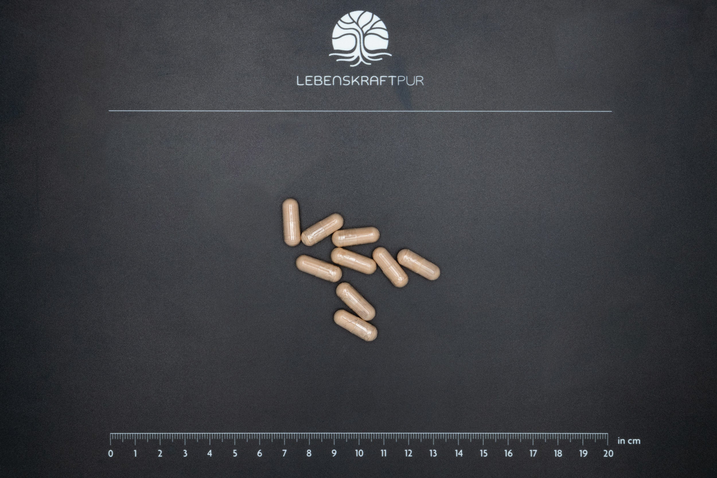 Produktbild Rhodiola Rosea Extrakt Kapseln