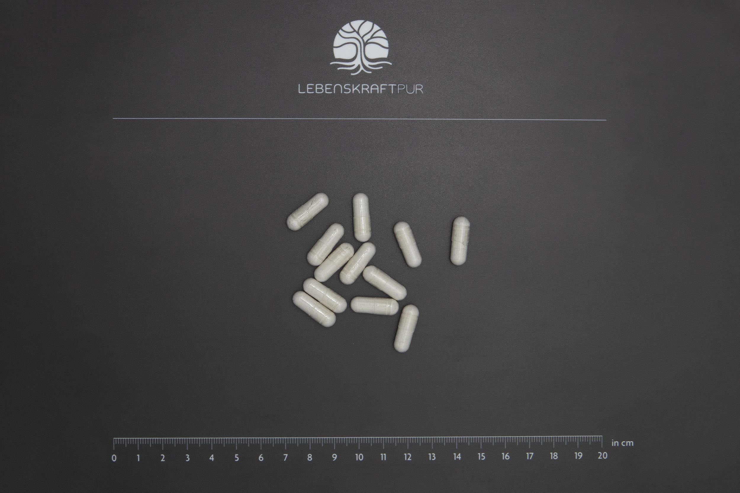 Produktbild Schilddrüse Vital Kapseln