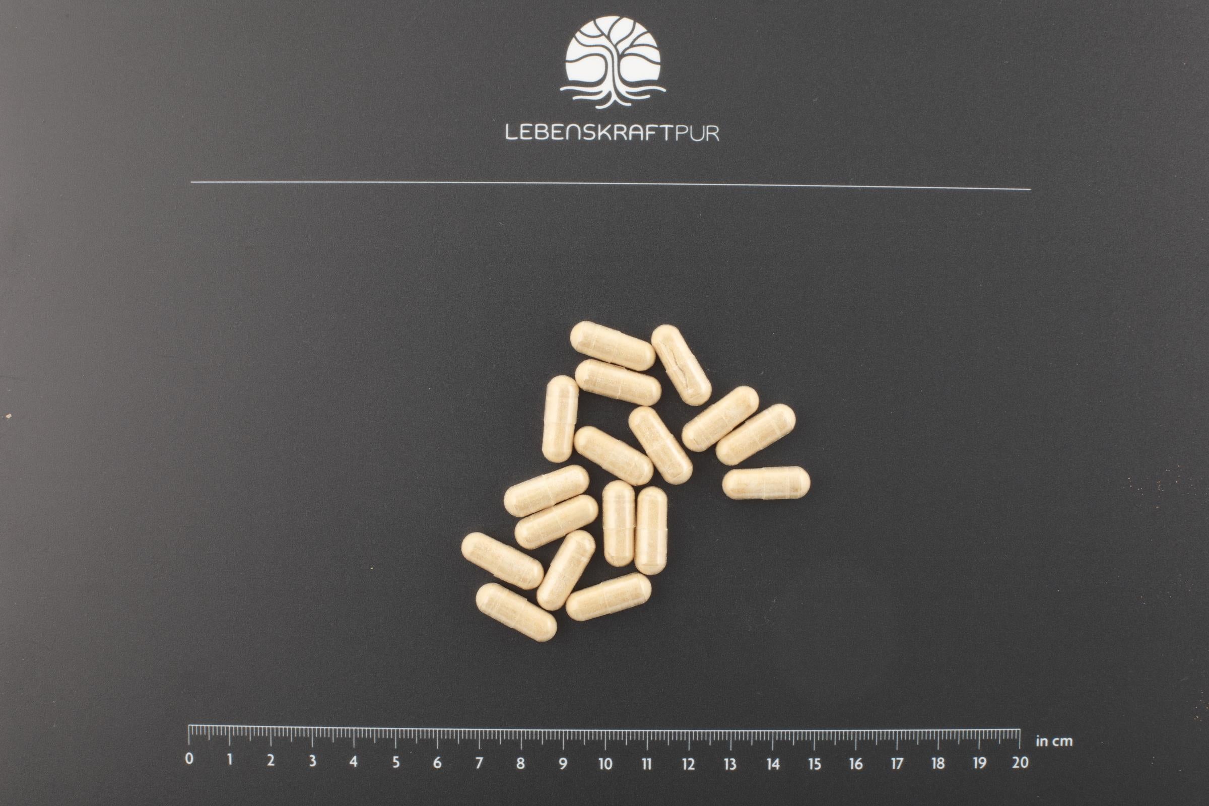 Produktbild Schwarzer Knoblauch Plus Kapseln
