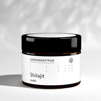 Shilajit Harz