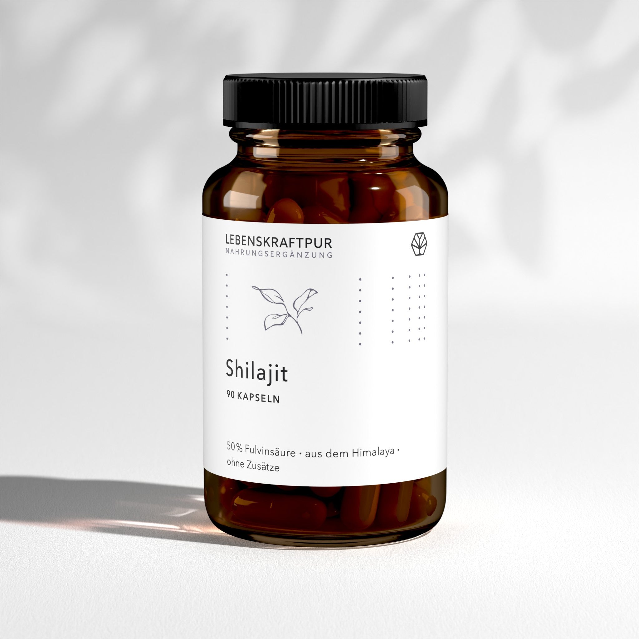 Shilajit Kapseln