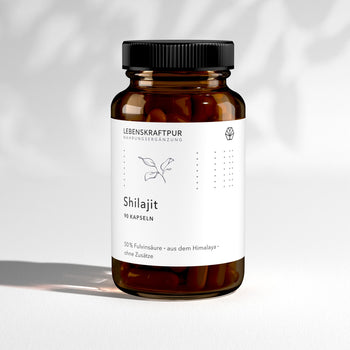 Shilajit Kapseln