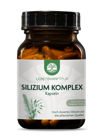 Produktbild Silizium Komplex Kapseln