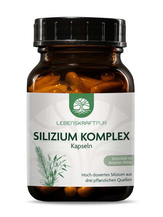Produktbild Silizium Komplex Kapseln