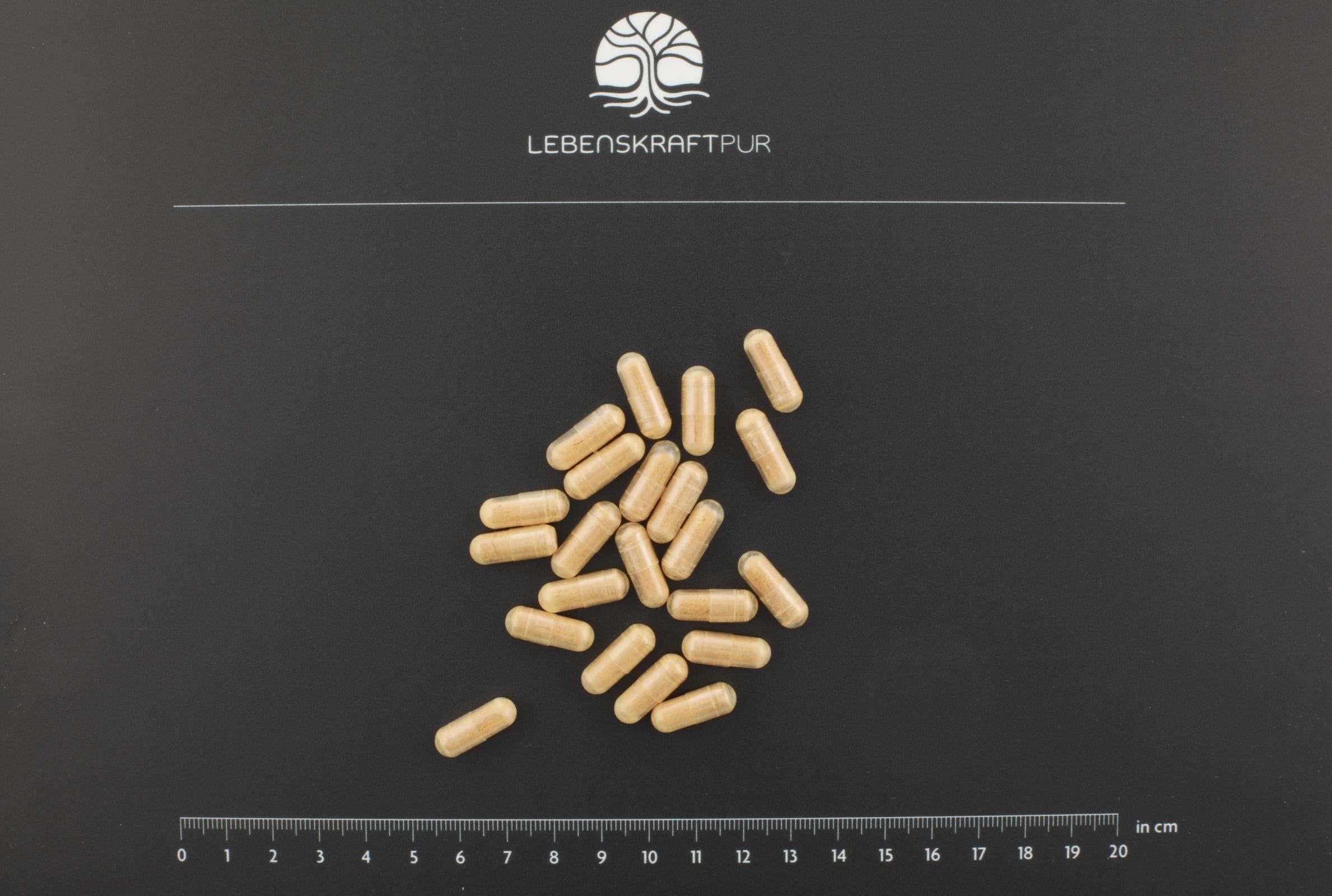 Produktbild Spermidin Plus Kapseln