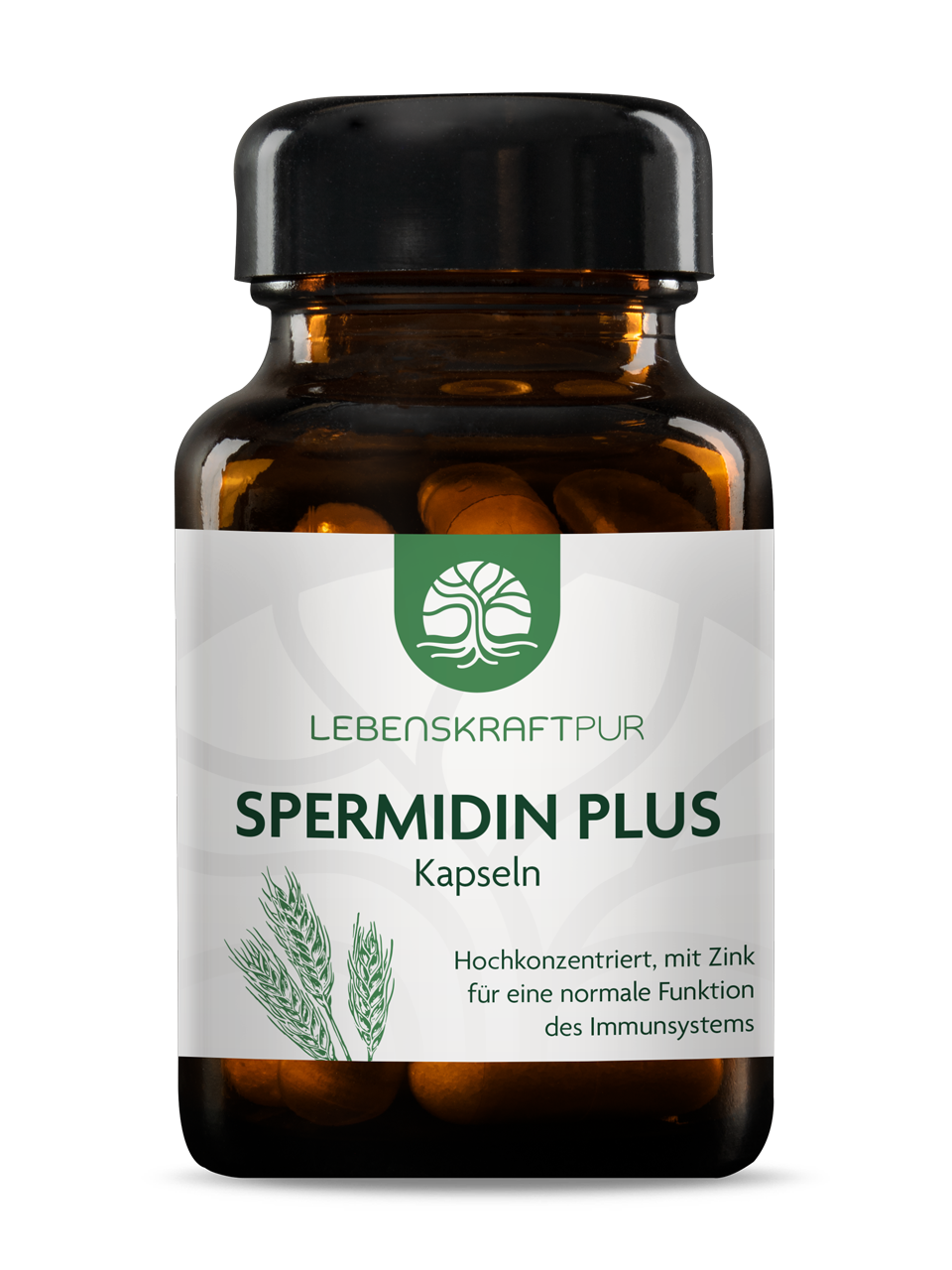 Produktbild Spermidin Plus Kapseln