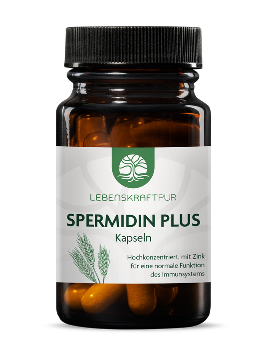 Produktbild Spermidin Plus Kapseln