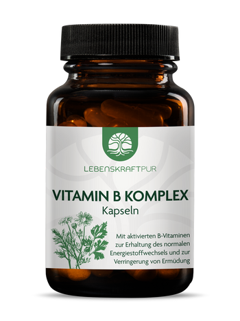 Produktbild Vitamin B Komplex Kapseln