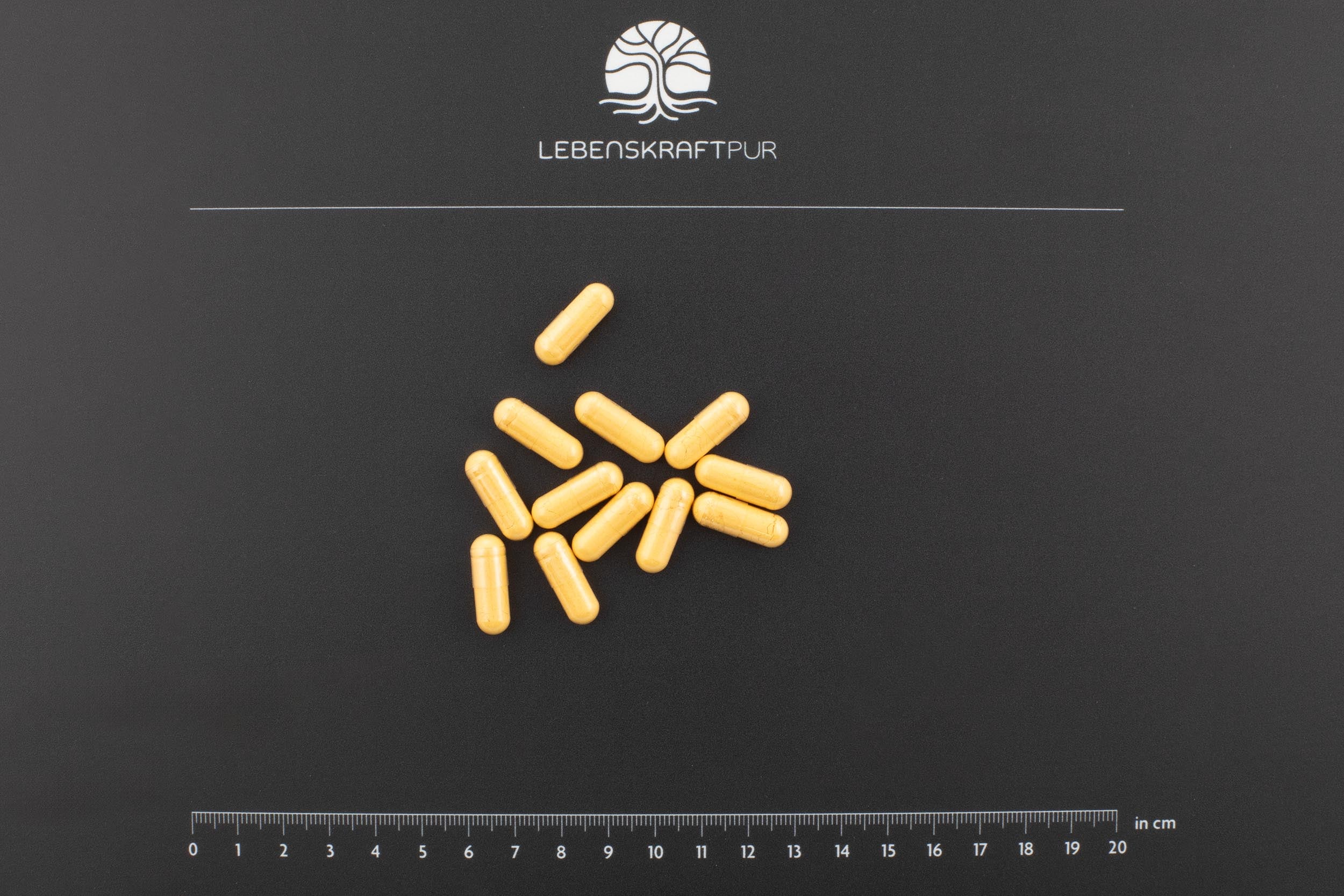 Vitamin B Komplex Kapseln