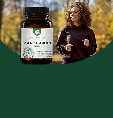 Produktbild Bio Bitterkräuter II Tropfen