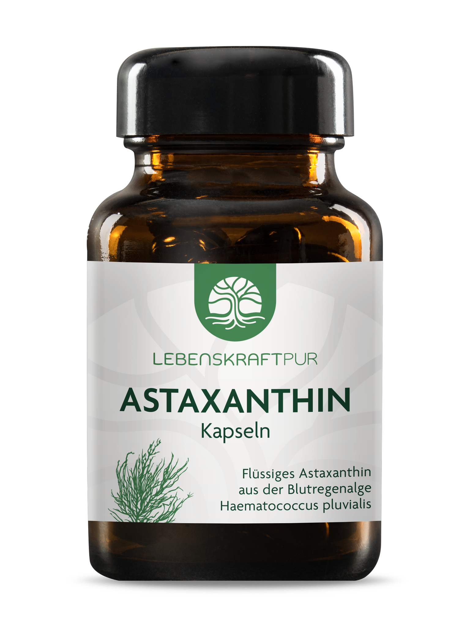Produktbild Astaxanthin Kapseln