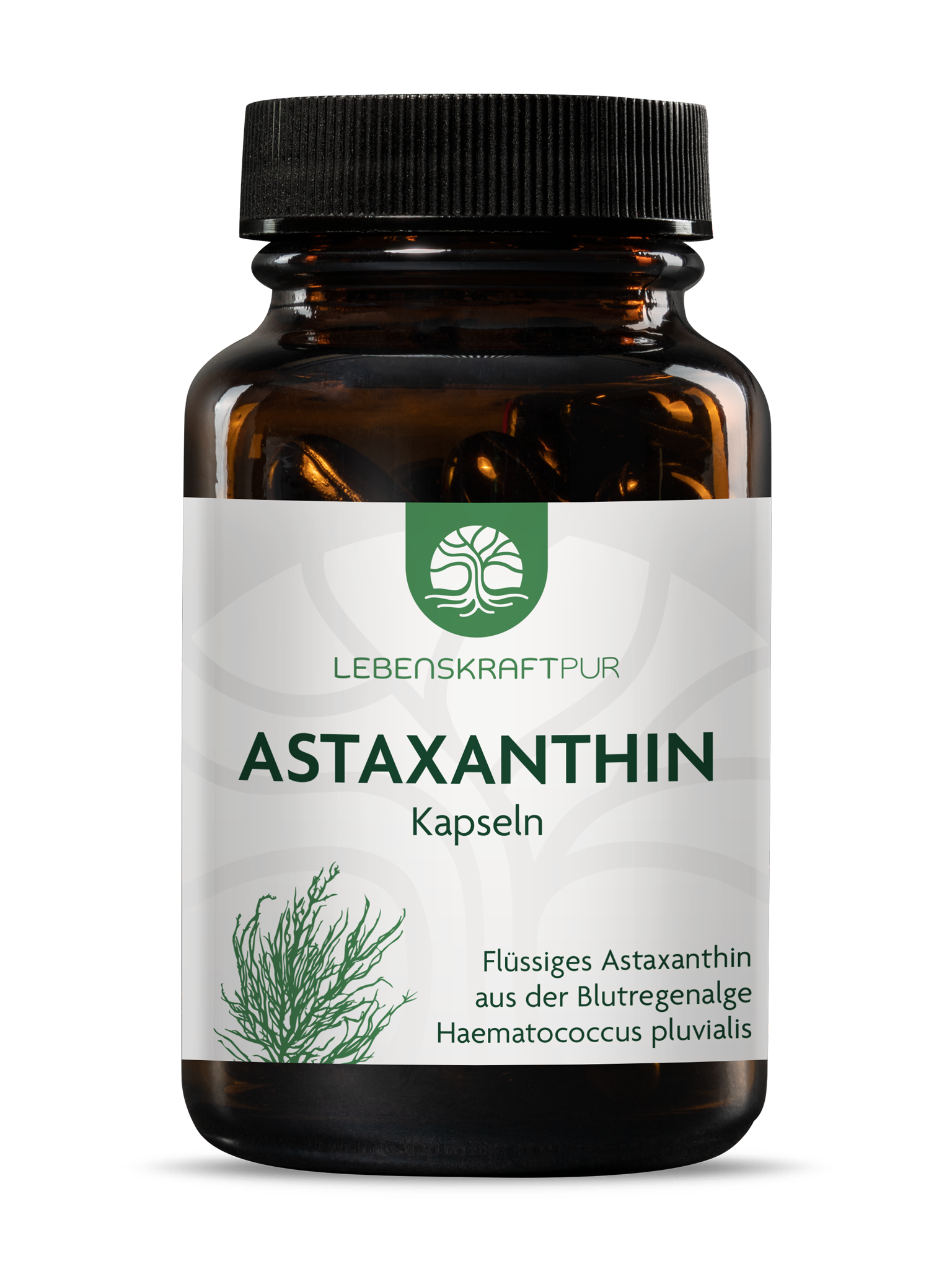Produktbild Astaxanthin Kapseln