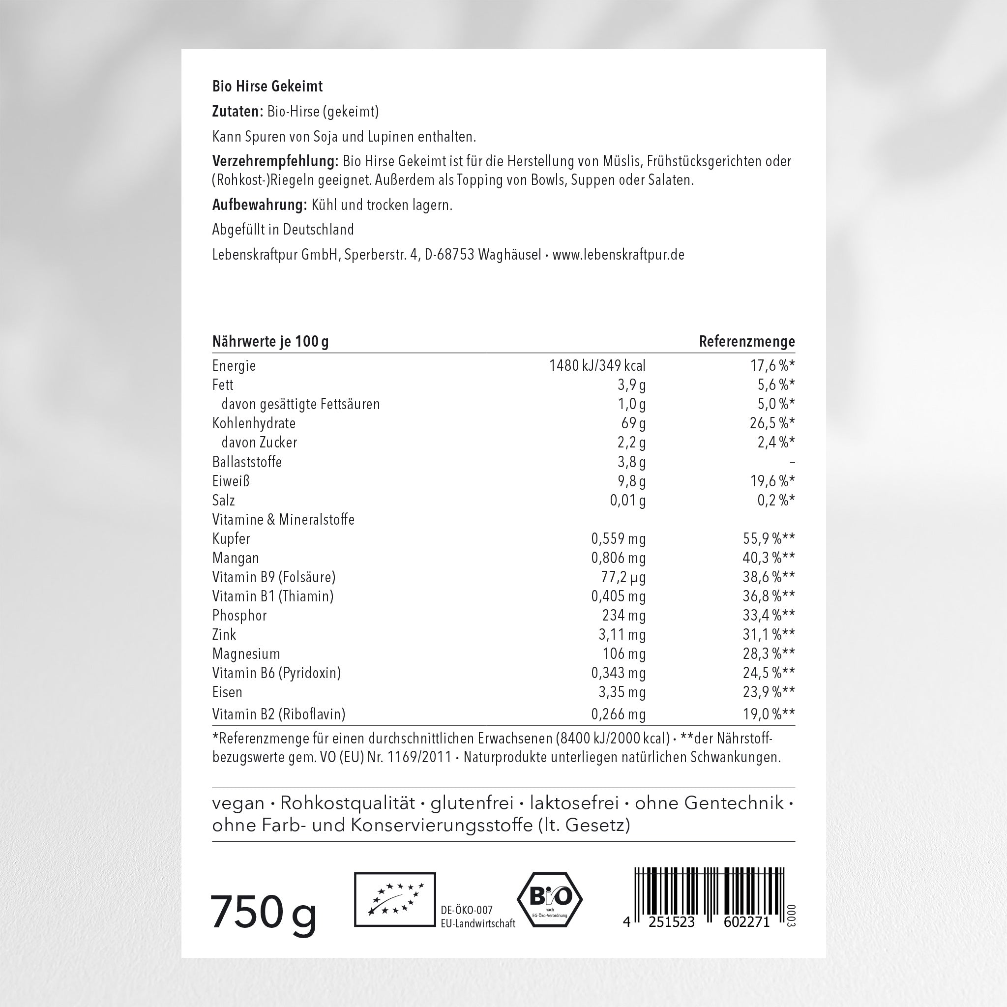 Bio Hirse Gekeimt