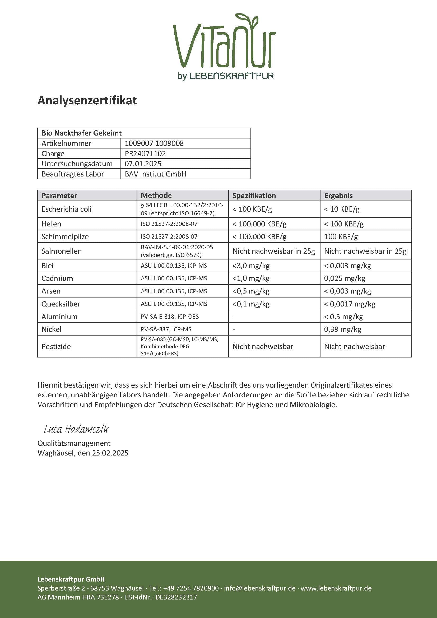 Bio Nackthafer Gekeimt