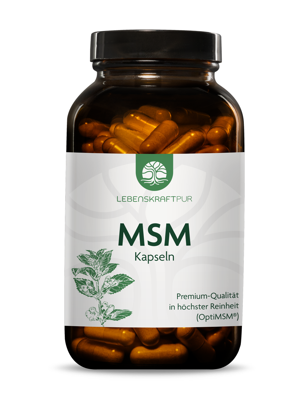 Produktbild MSM Kapseln