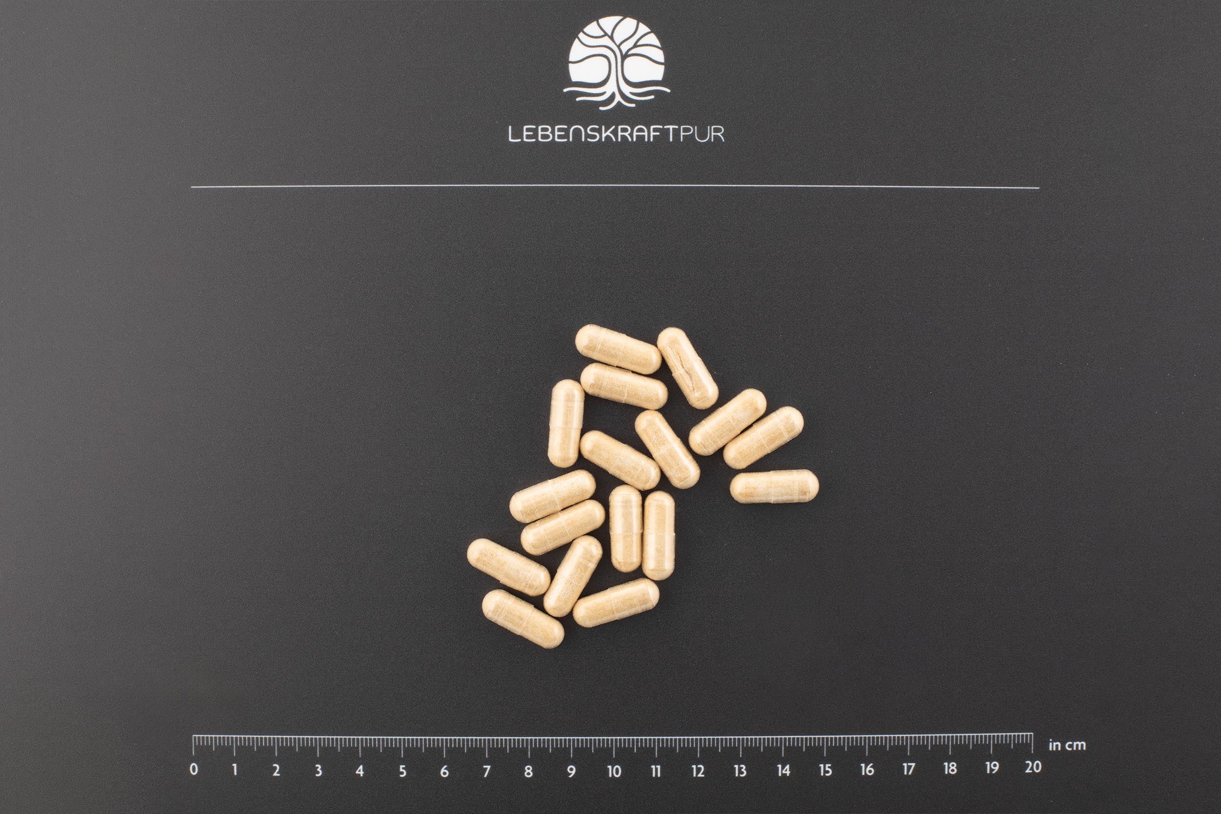 Schwarzer Knoblauch Plus Kapseln