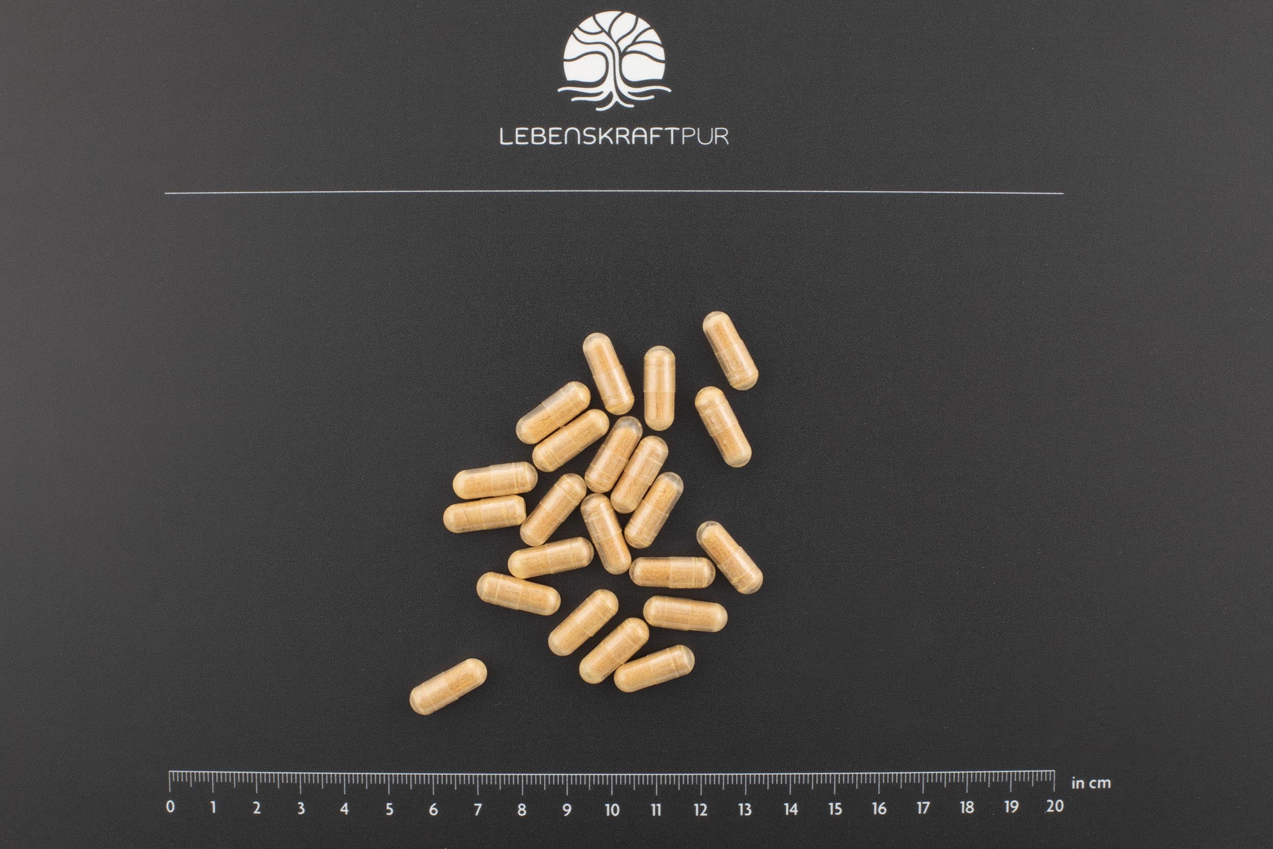 Spermidin Plus Kapseln